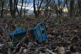Bernhard Saalfeld - DSC05331 -1